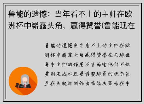 鲁能的遗憾：当年看不上的主帅在欧洲杯中崭露头角，赢得赞誉(鲁能现在的主帅是谁)