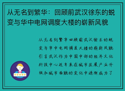 从无名到繁华：回顾前武汉徐东的蜕变与华中电网调度大楼的崭新风貌