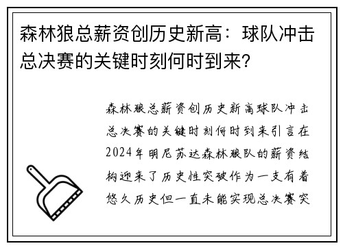 森林狼总薪资创历史新高：球队冲击总决赛的关键时刻何时到来？